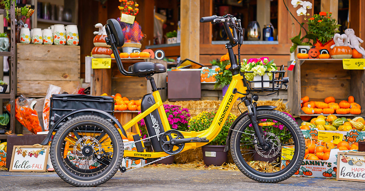 Folding vs. Standard Electric Trikes: Which One Fits Your Lifestyle?