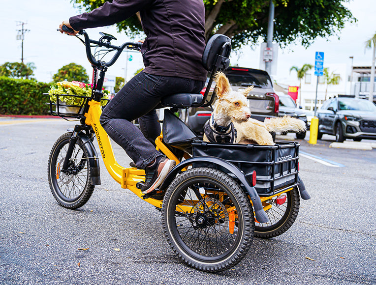 Citytri E-310 etrike with dog