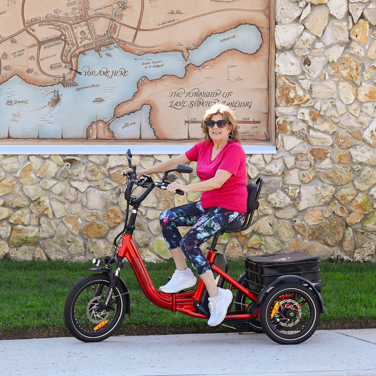 Citytri E-310 Foldable eTrike