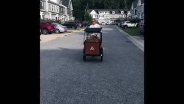 Riding a 325 with my dog for a ride