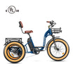Grandtan II Fat Tyre eTrike