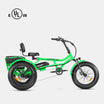 Arisentan Ⅱ M-360 semi-recumbent elelctric trike - green