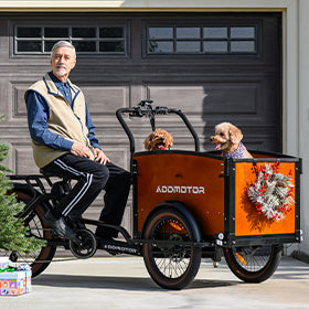 addmotor-cargo-trike-collection